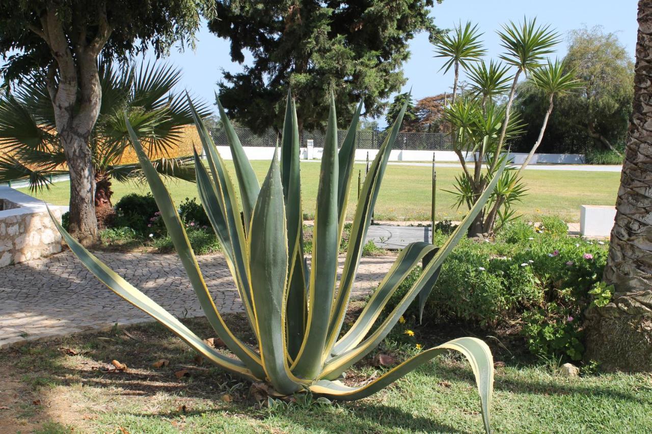 Casa Beachcomber Le Jardin Des Arts Lagos Bagian luar foto