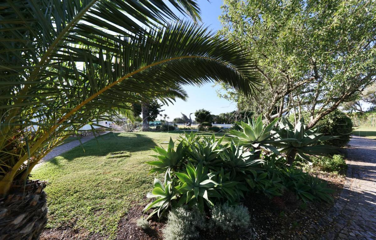Casa Beachcomber Le Jardin Des Arts Lagos Bagian luar foto